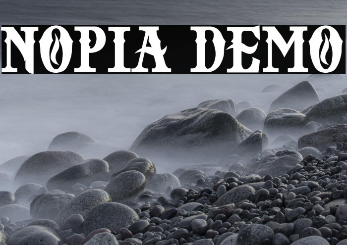 NOPIA DEMO Example 2