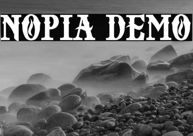 NOPIA DEMO Example 2