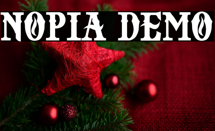 NOPIA DEMO Example 3