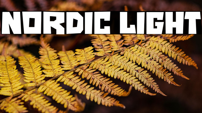 NORDIC LIGHT Example 1