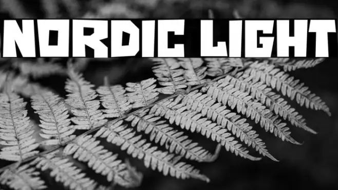 NORDIC LIGHT Example 1