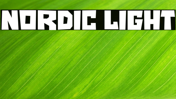 NORDIC LIGHT Example 3