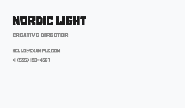 NORDIC LIGHT Business Card