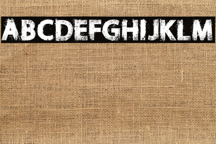 NORIKEE DEMO Regular Example 1