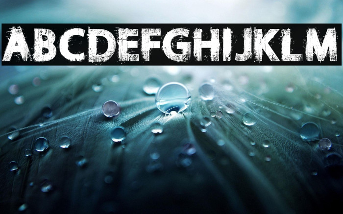 NORIKEE DEMO Regular Example 2