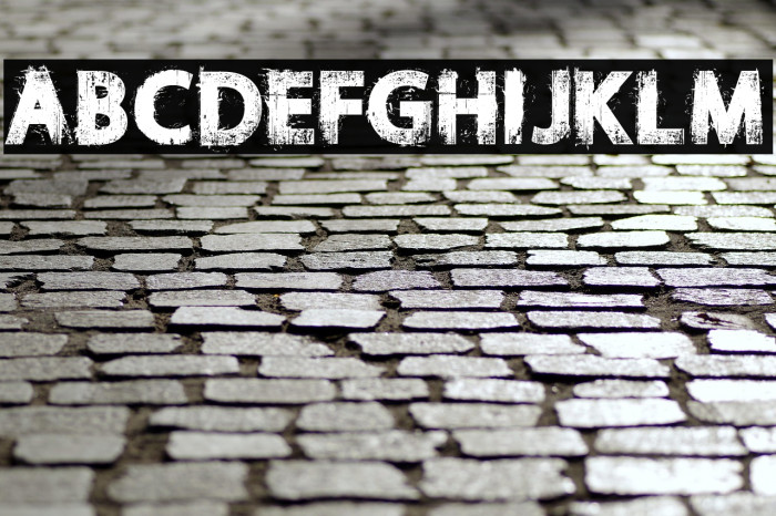 NORIKEE DEMO Regular Example 3