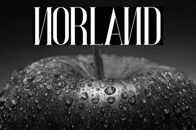NORLAND Example 3