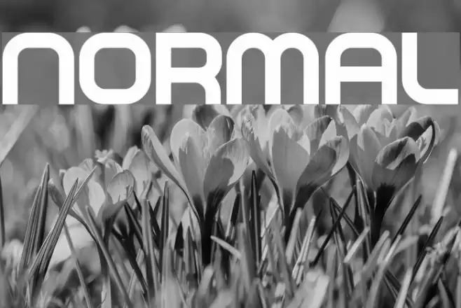 NORMAL Font examples