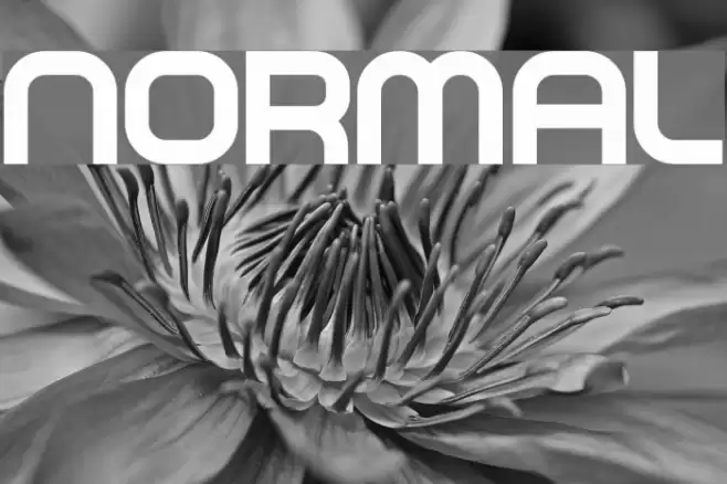 NORMAL Font examples