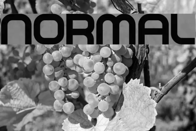 NORMAL Font examples