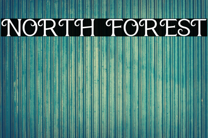 NORTH FOREST Example 1