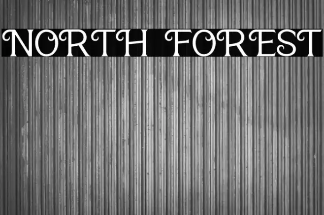 NORTH FOREST Example 1