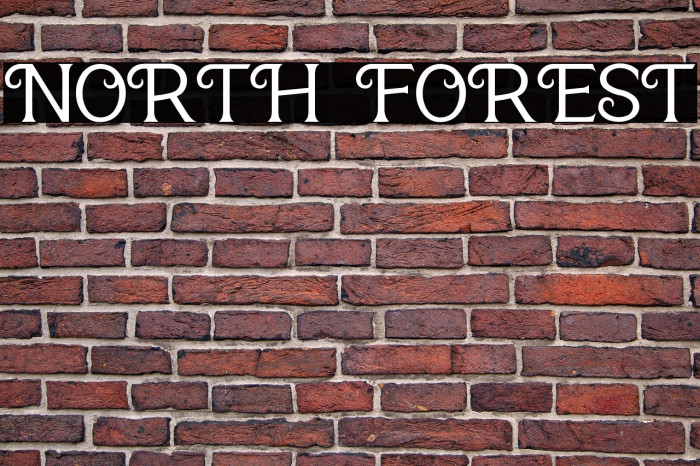 NORTH FOREST Example 2