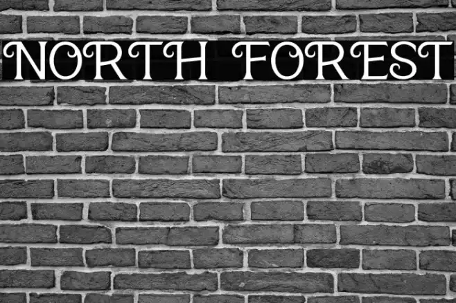 NORTH FOREST Example 2