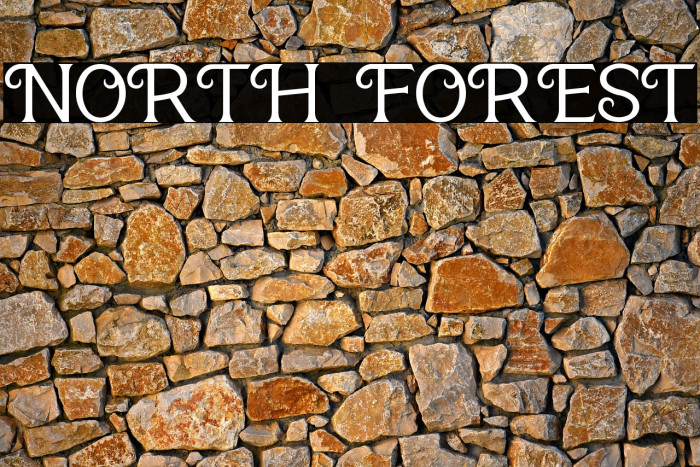 NORTH FOREST Example 3