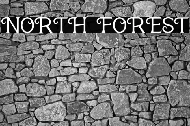 NORTH FOREST Example 3