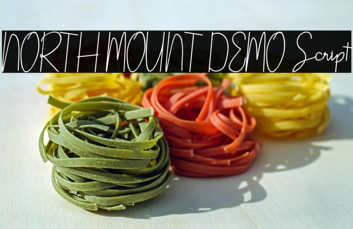 NORTH MOUNT DEMO Script Example 1