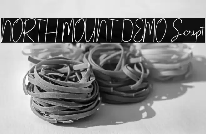 NORTH MOUNT DEMO Script Font examples