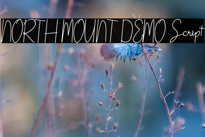NORTH MOUNT DEMO Script Example 3