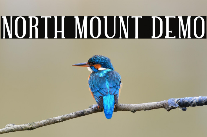 NORTH MOUNT DEMO Example 3