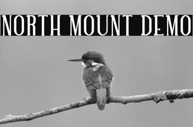 NORTH MOUNT DEMO Example 3