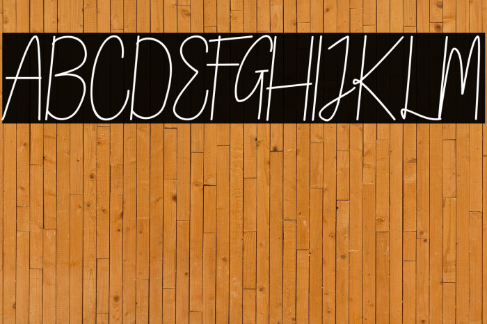 NORTH MOUNT Script Font examples