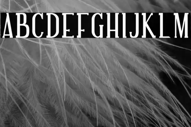 NORTH MOUNT Font examples