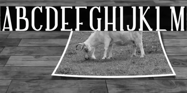 NORTH MOUNT Font examples