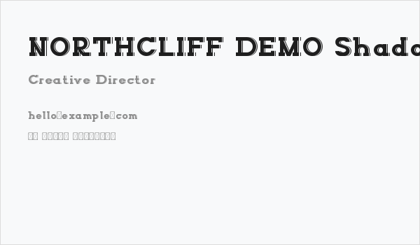 NORTHCLIFF DEMO Shadow Business Card