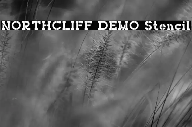 NORTHCLIFF DEMO Stencil Font examples