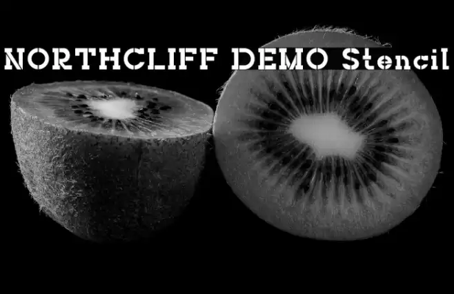 NORTHCLIFF DEMO Stencil Font examples