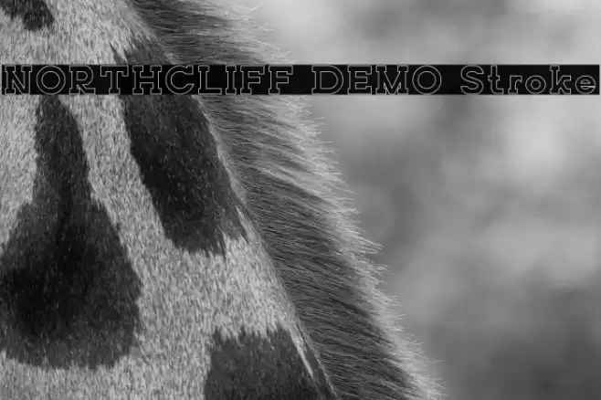 NORTHCLIFF DEMO Stroke Font examples