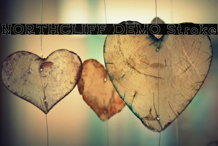 NORTHCLIFF DEMO Stroke Example 3