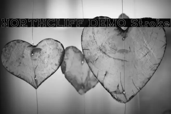 NORTHCLIFF DEMO Stroke Font examples