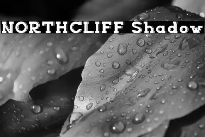 NORTHCLIFF Shadow Font examples