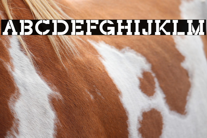 NORTHCLIFF Stencil Example 3