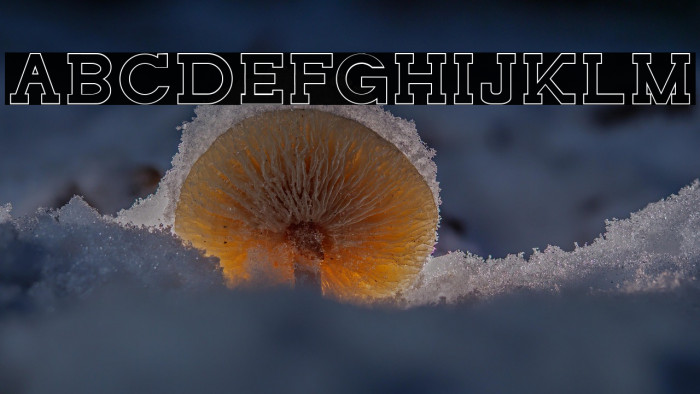 NORTHCLIFF Stroke Example 2