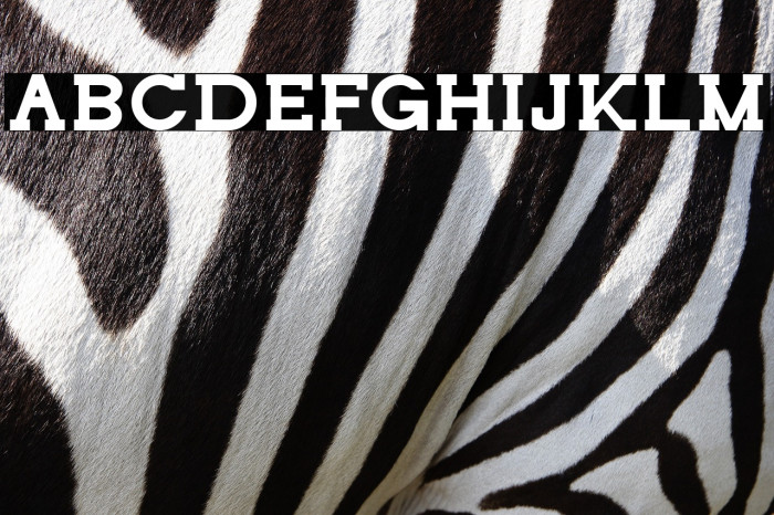 NORTHCLIFF Example 1