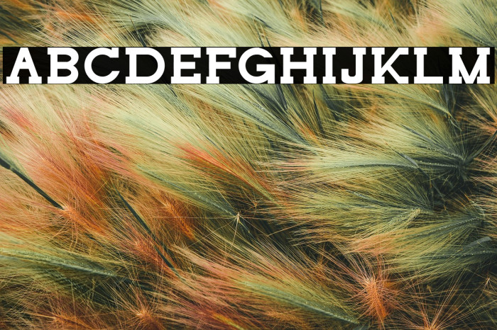 NORTHCLIFF Example 3