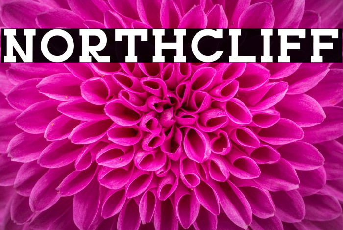 NORTHCLIFF Example 2