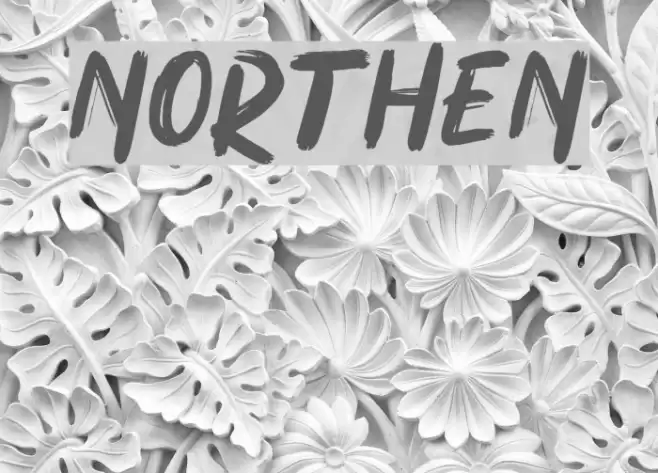 NORTHEN Font examples