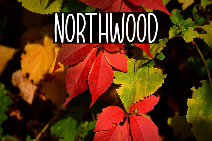 NORTHWOOD Example 2