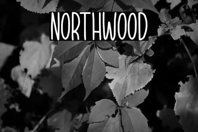 NORTHWOOD Font examples