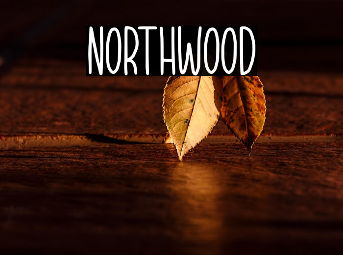 NORTHWOOD Example 3
