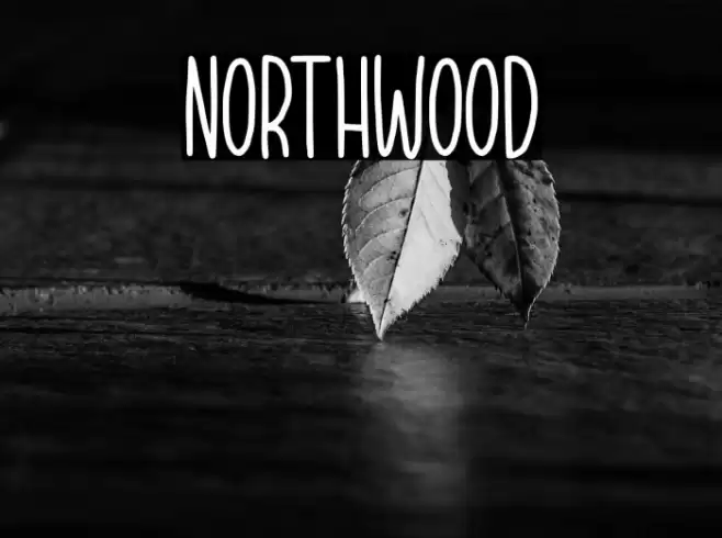 NORTHWOOD Font examples