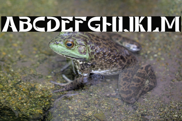 NOSTRUD - Personal Use Example 1