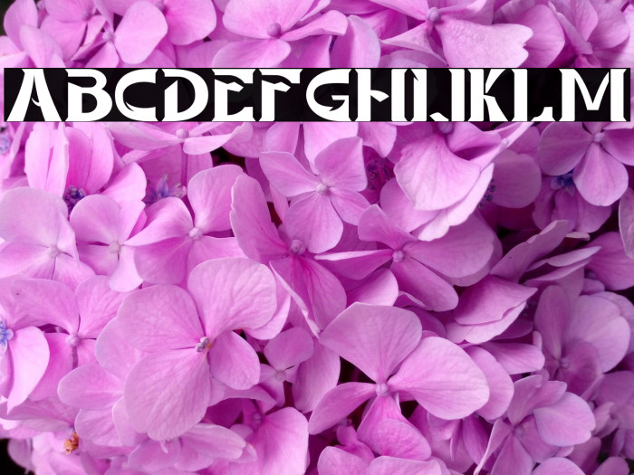 NOSTRUD - Personal Use Example 2