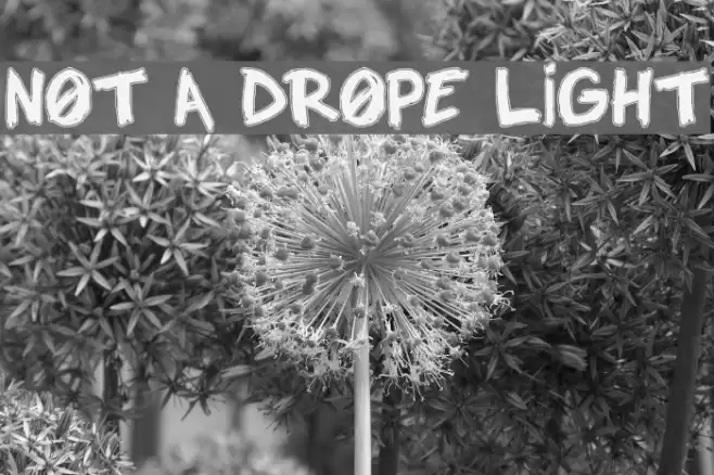 NOT A DROPE LIGHT Font examples