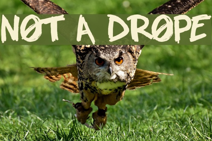 NOT A DROPE Font examples