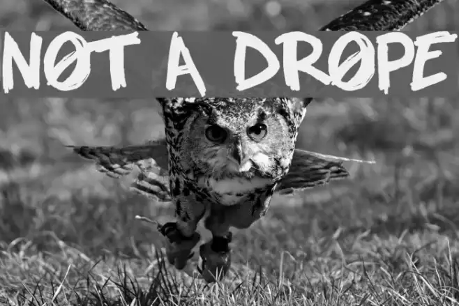 NOT A DROPE Example 2